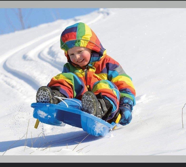 Dantoy De Luxe - sanki bobslej z hamulcami 84 cm | Red