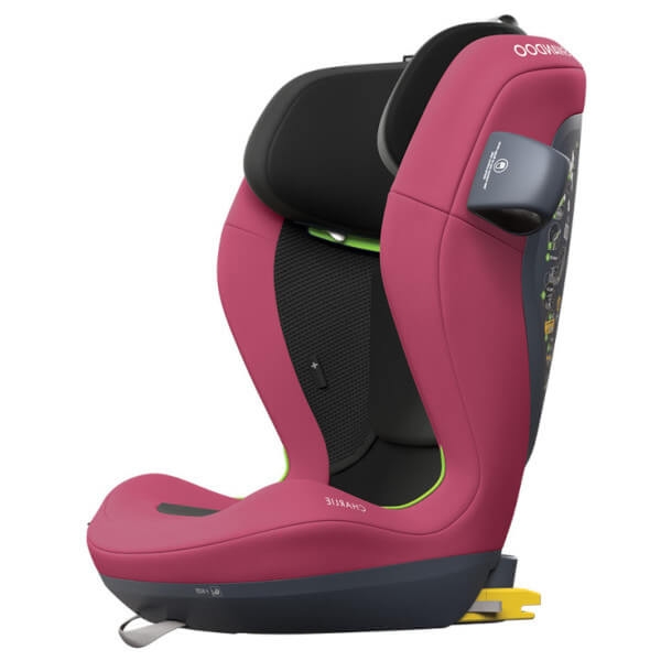 10646kolor_Forest Fruits.jpg