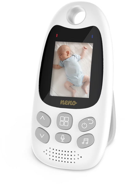 neno-gato-2.2.jpg