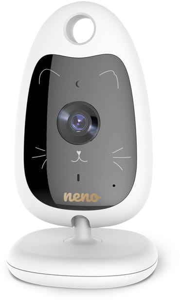 neno-gato-2.3.jpg