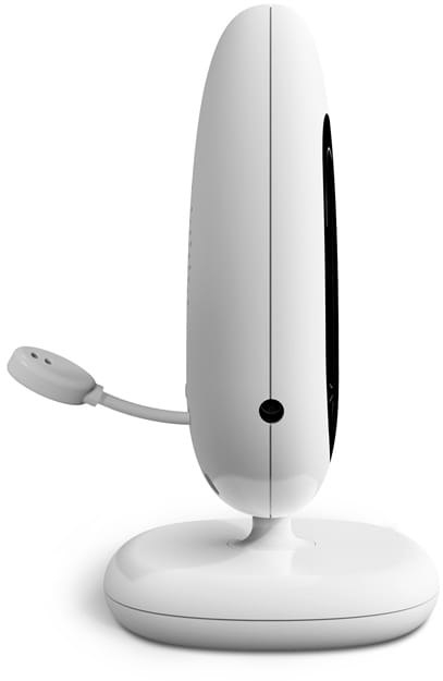neno-gato-2.6.jpg