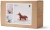 Kid's Concept - Lis na biegunach | Multicolor (EDVIN)