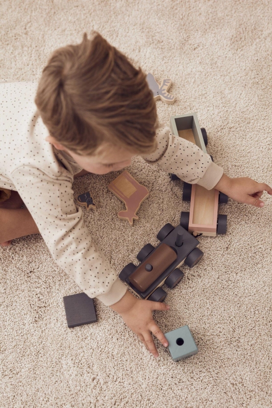 Kid's Concept - Pociąg ze zwierzątkami | Multicolor (EDVIN)