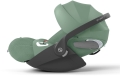 PLUS Leaf Green