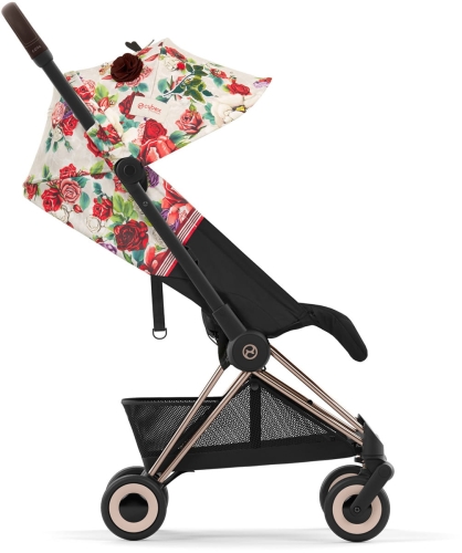 CYB_23_INT_y270_SpringBlossom_Coya_ROGO_SBLL_print_medium.jpg