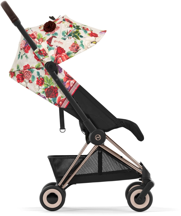 CYB_23_INT_y270_SpringBlossom_Coya_ROGO_SBLL_print_medium.jpg