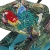 CYB_23_INT_Deta_DJKhaled_Coya_MABL_WTBB_Canopy_print_medium.jpg