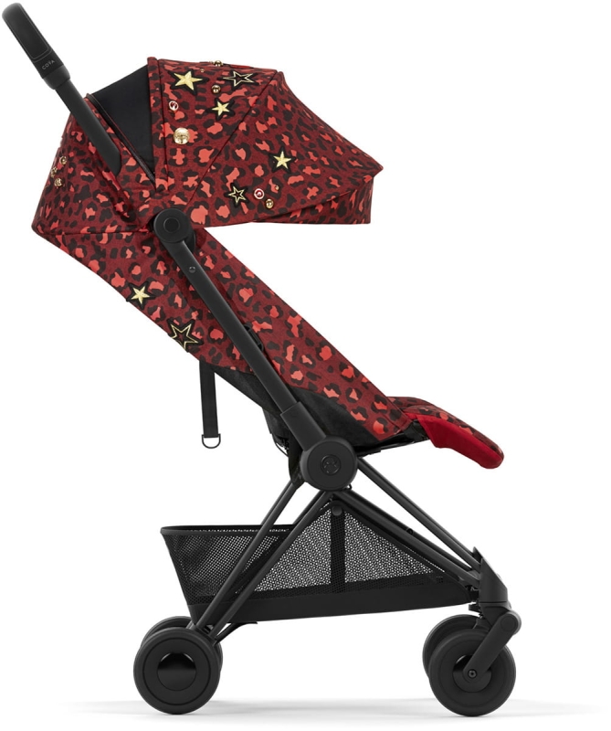 CYB_23_INT_y270_Rockstar_Coya_MABL_ROSR_Canopy_print_medium.jpg