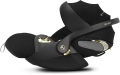 Wings by Jeremy Scott