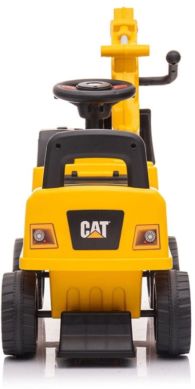 baby-mix-cat-yellow5.jpg