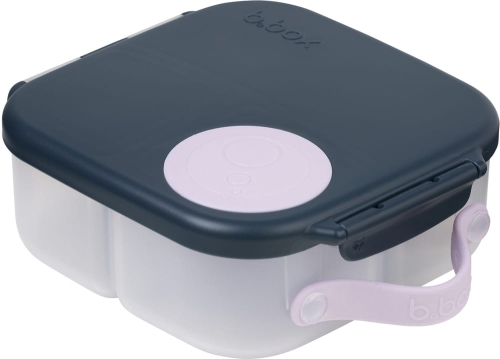 Mini-LunchBox__Indigo-Rose_1-scaled.jpg