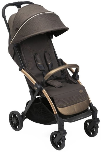 chicco-goody-x-plus-bronze-lizard.jpg