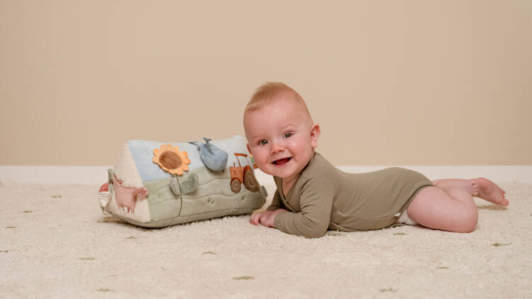 pol_pl_Little-Dutch-Trojkat-edukacyjny-Little-Farm-LD8823-3687_6.jpg