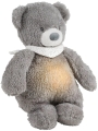 Bear Grey