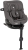 joie-ipivot-360-thunder.jpg