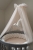 champagne_Easy-.jpg