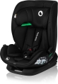 Black Carbon