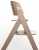 Cybex_Click&Fold_lifestyle-4.jpg