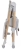 chicco-polly-armonia-scandinavian7.jpg