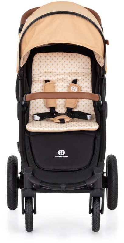 street-plus-air-oak-limited-haritage-bee-3.jpg