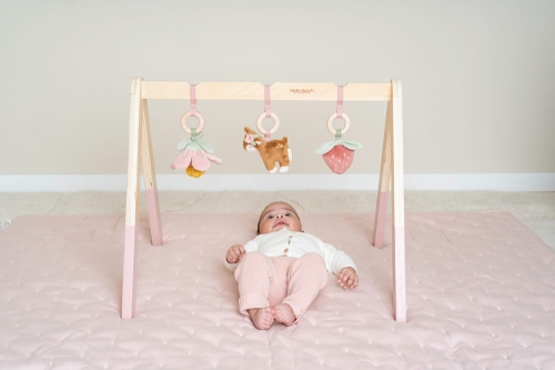 LD9010---Babygym---Fairy-Garden-1.jpg
