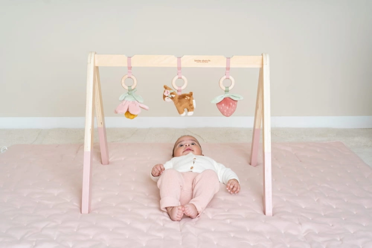 LD9010---Babygym---Fairy-Garden-1.jpg