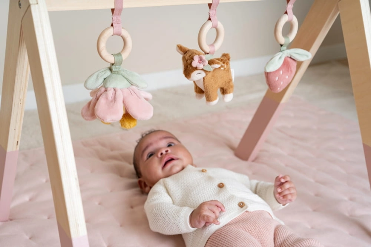 LD9010---Babygym---Fairy-Garden-2.jpg