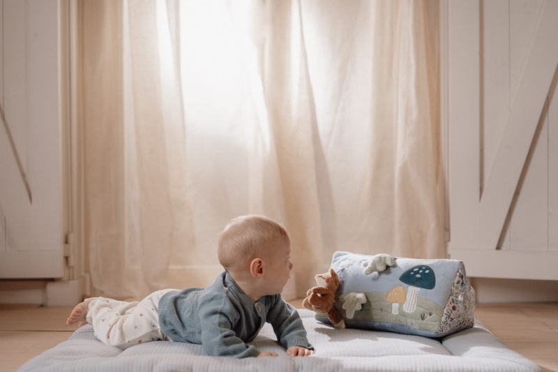 LD8923 - Baby Triangle - Forest Friends (1).jpg