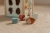 LD8923---Baby-Triangle---Forest-Friends-10.jpg