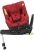 Sperber-61 Maple Red (4).JPG
