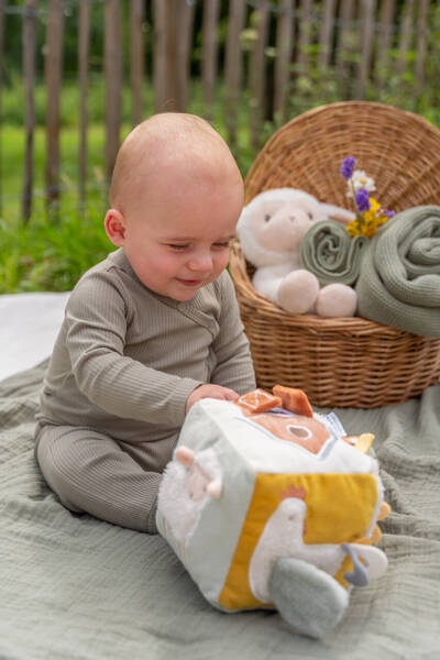 pol_pl_Little-Dutch-Kostka-aktywizujaca-Little-Farm-LD8809-3698_1.jpg
