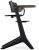 cybex-lemo-platinum-chair-black-wood-3w1.3.jpg