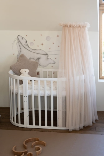 _DSC5104.jpg