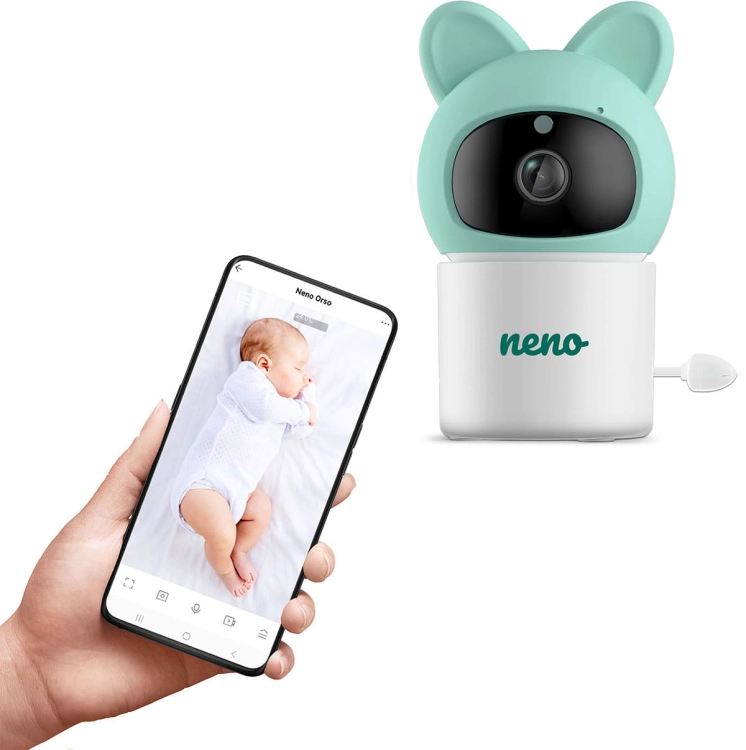 neno-orso4.jpg