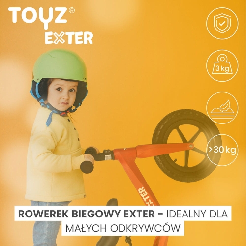 toyz-exter-info.jpg
