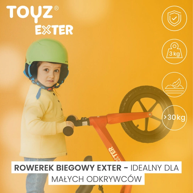 toyz-exter-info.jpg
