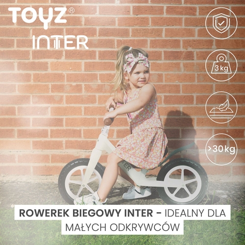 toyz-inter-info.jpg