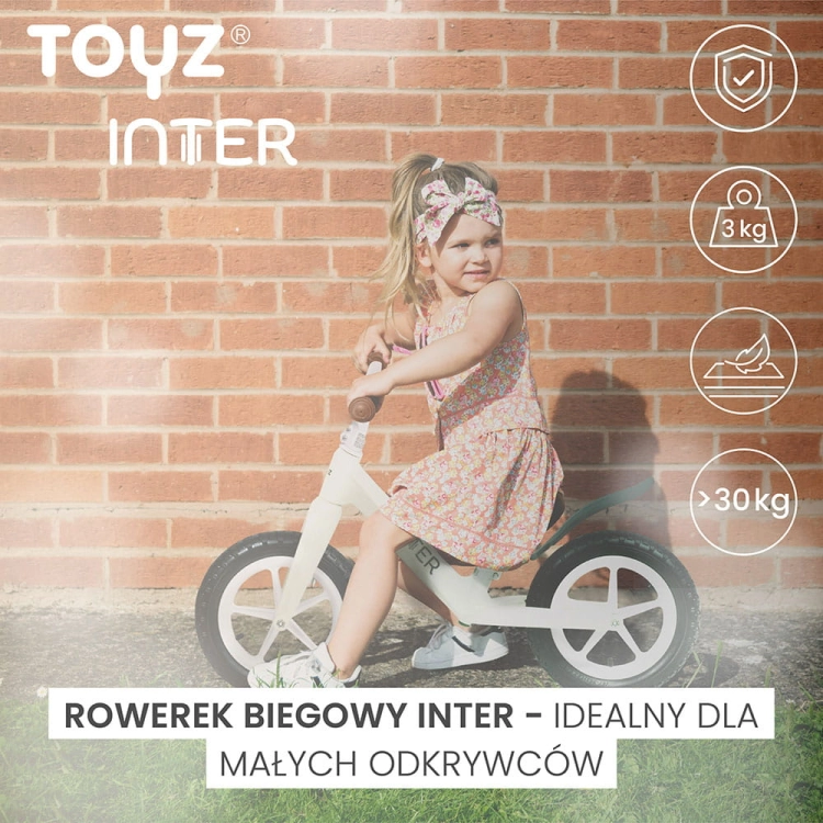 toyz-inter-info.jpg