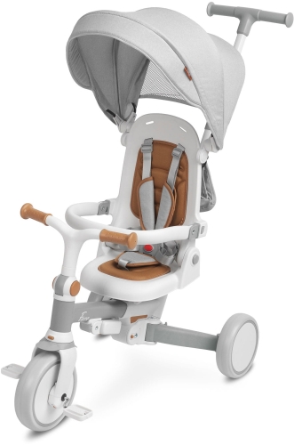 Toyz by Caretero Faro - rowerek trójkołowy i biegowy w jednym | Grey