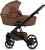 teddy-viva-5-plus-teddy-110-biscuit.jpg