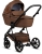 teddy-viva-5-plus-teddy-110-biscuit3.jpg