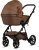 teddy-viva-5-plus-teddy-110-biscuit4.jpg
