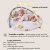 taf-toys-mata-edukacyjna-melody-bloom-gym-info4.jpg