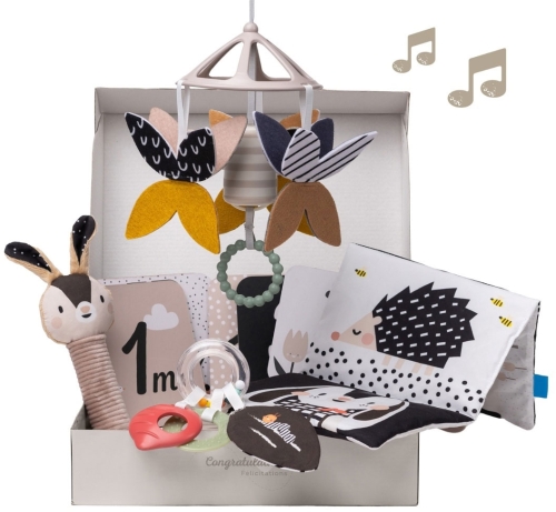 Taf Toys - zestaw sensoryczny dla nowordka | BLack&White