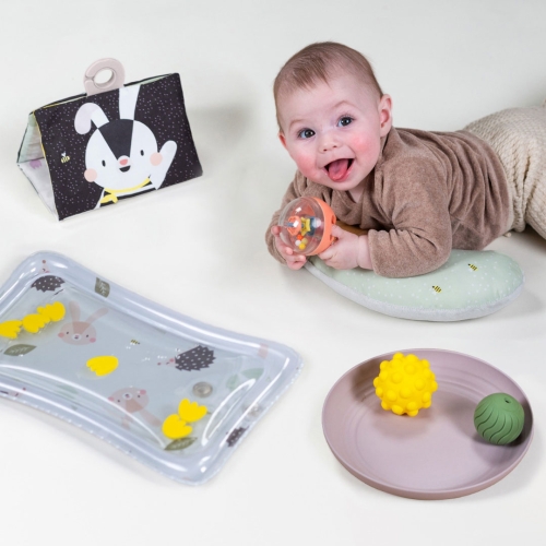 taf-toys-zestaw-zabawek-do-lezenia-na-brzuszku2.jpg
