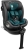caretero-fortis-i-size-emerald2.jpg