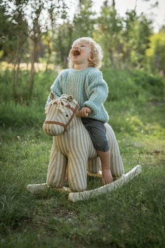 kids-concept-kon-na-biegunach-sam-aiden2.jpg