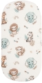 Safari