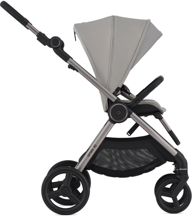 anex-iq-silve2.jpg