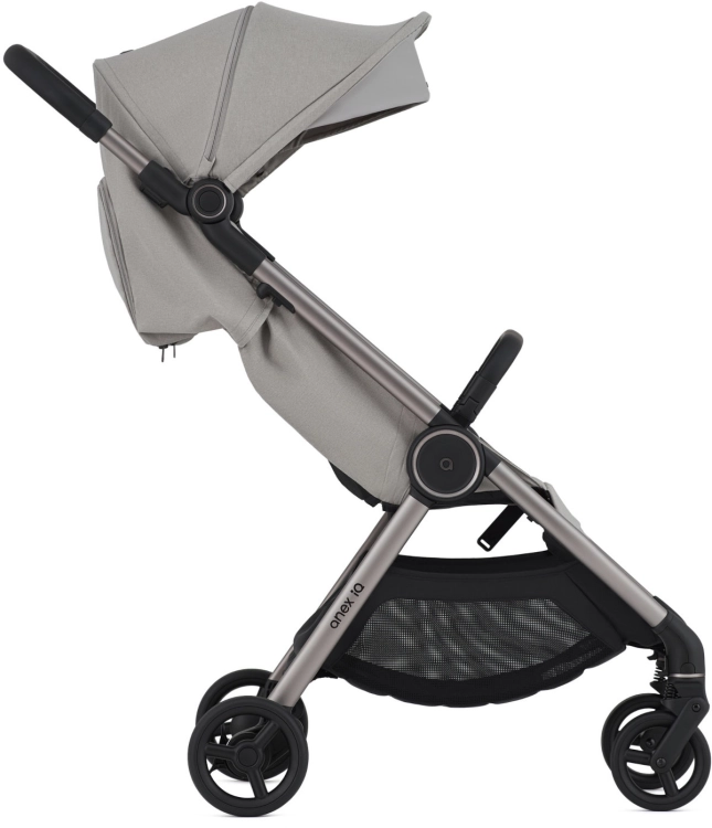 anex-iq-silve3.jpg